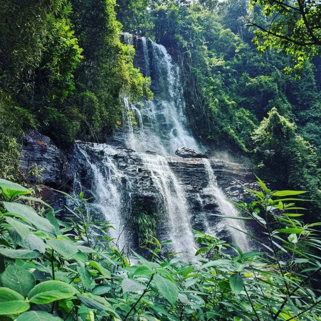 Jhari Waterfalls cascading through lush forest. Chikmagalur.