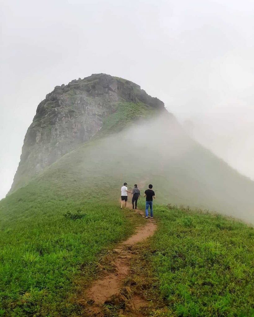 In the season, Rani Jhari near RiverMist Resorts Chikmagalur is filled with mist