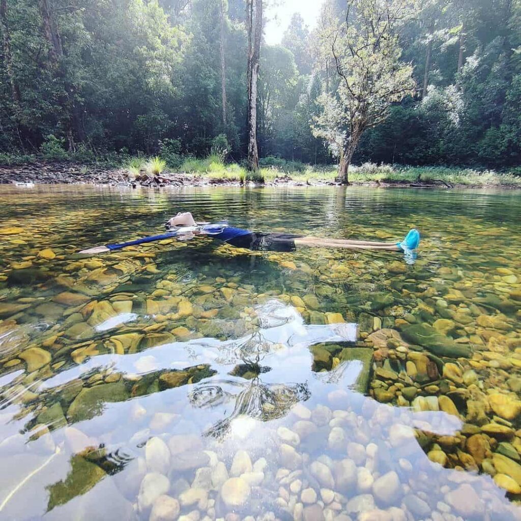 Bhagavathi Nature Camp is located inside the Kudremukh National Park