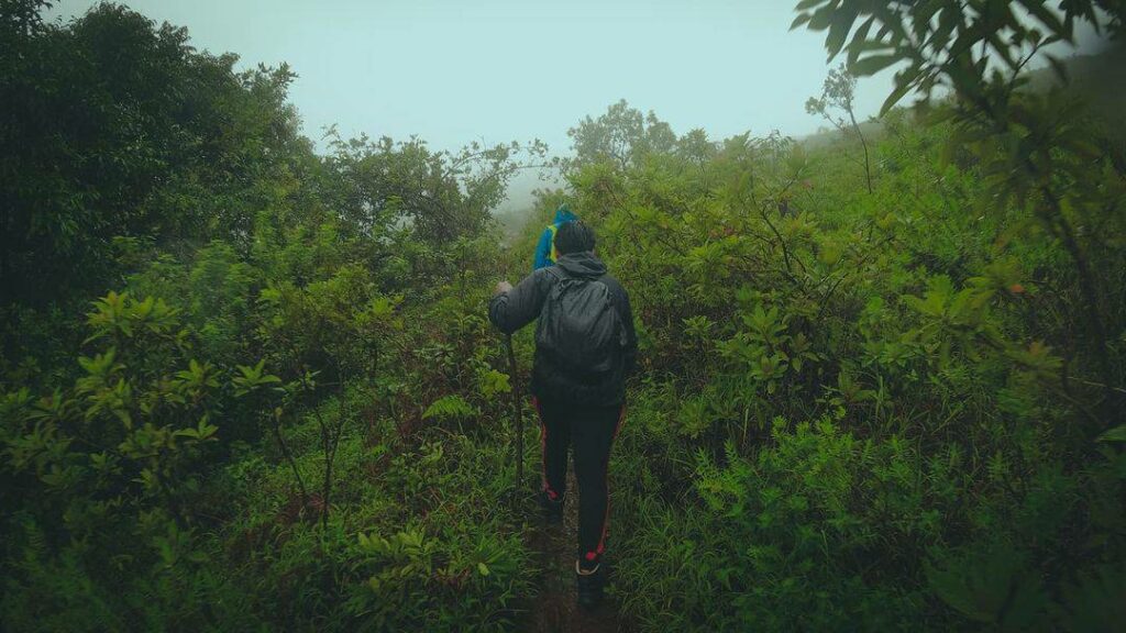 Nature walk into the middle of the forest at Ballalarayana Durga Fort trek is an awesome experience