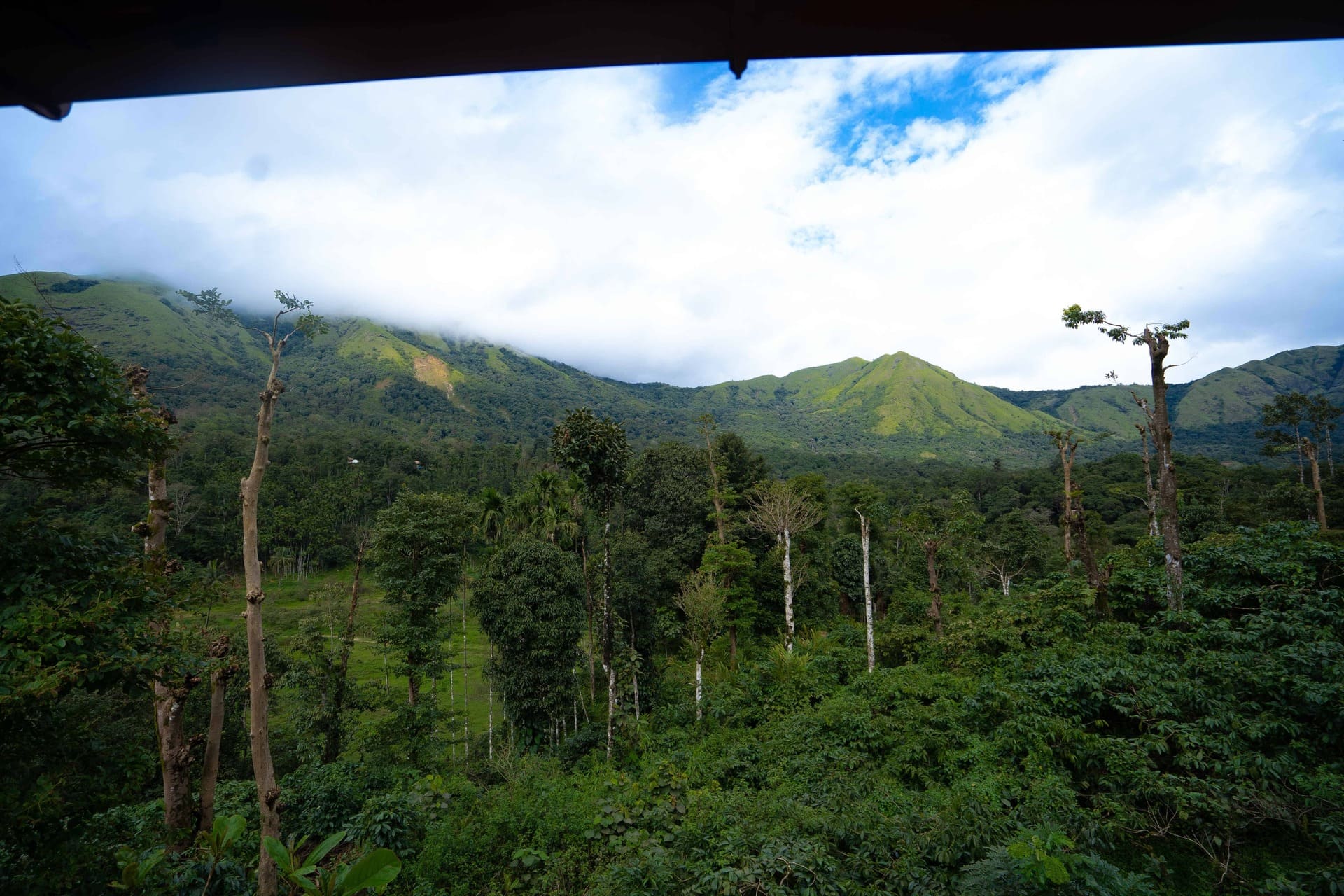 Panoramic mountain and forest view from cottage. RiverMist.