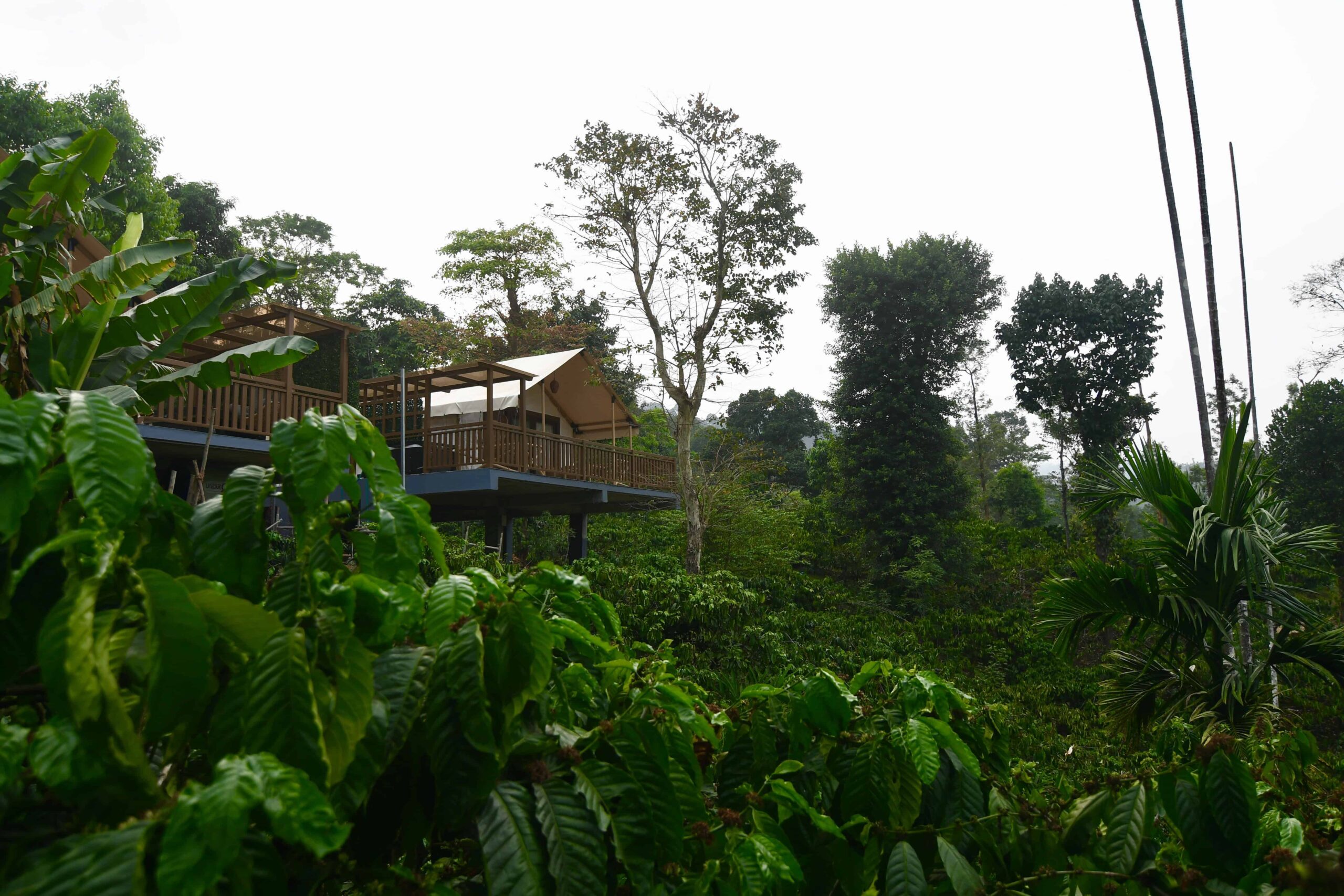 Luxury Pavilion glamping tent on stilts. RiverMist Resorts.