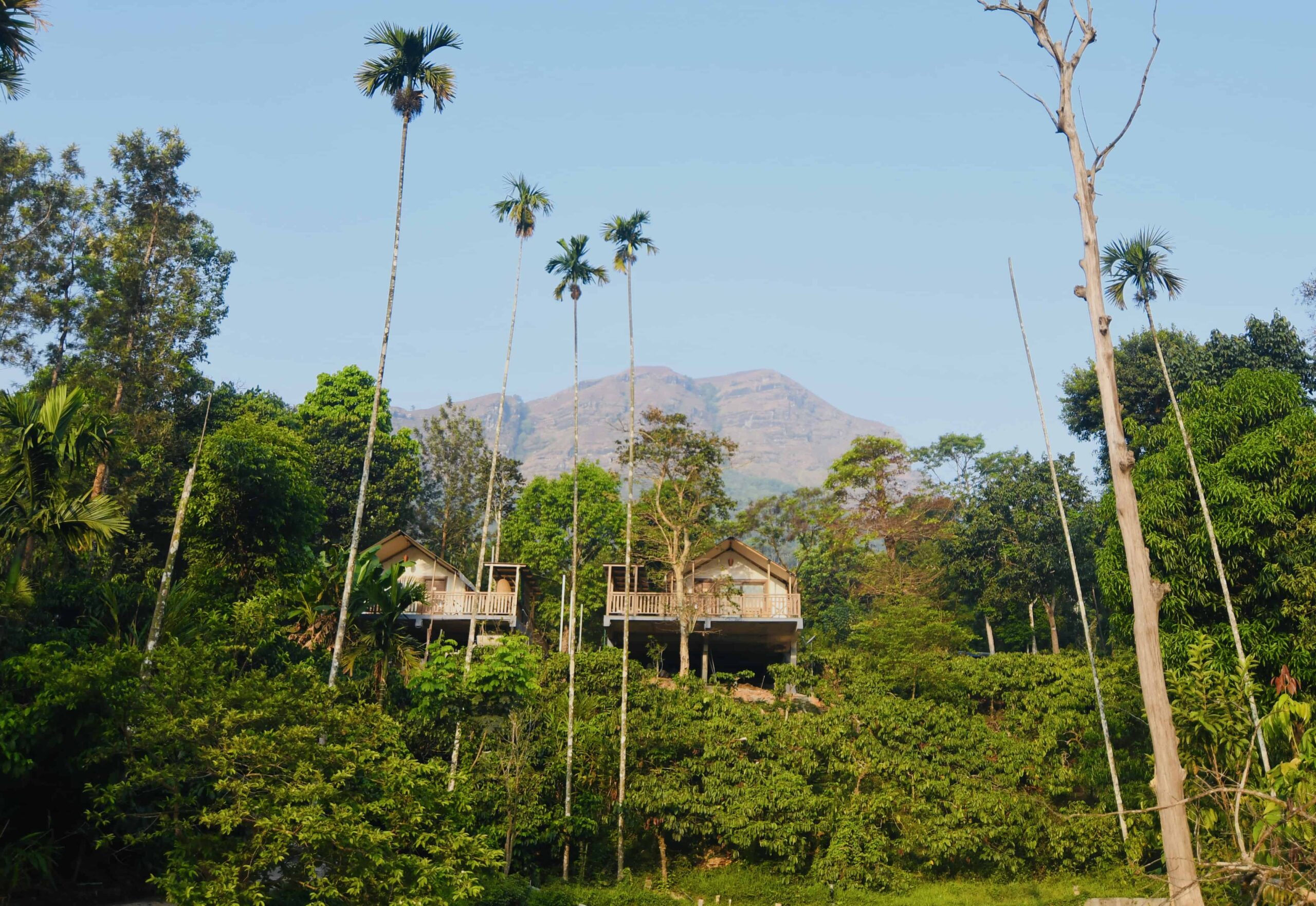 Two stilt pavilions in dense greenery. RiverMist Resorts view.