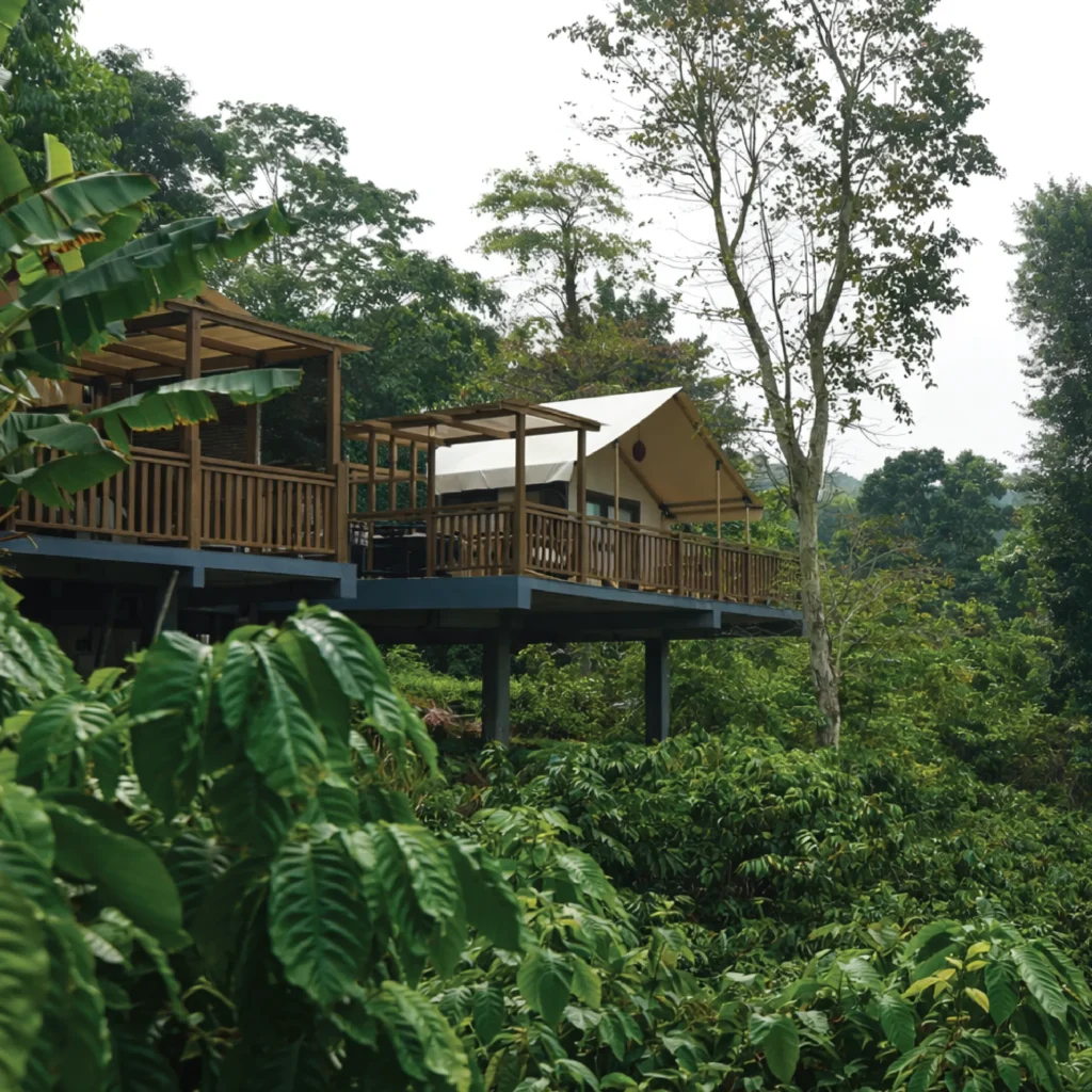 RiverMist Resorts Birdwatching Base in Chikmagalur