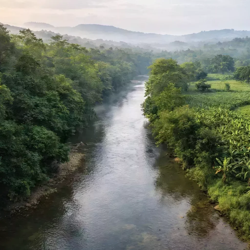 Birding in Chikmagalur (Western Ghats)