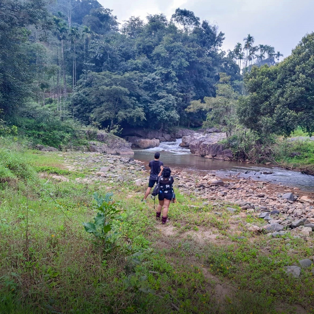 Beginner Trekking in Chikmagalur with Scenic Views