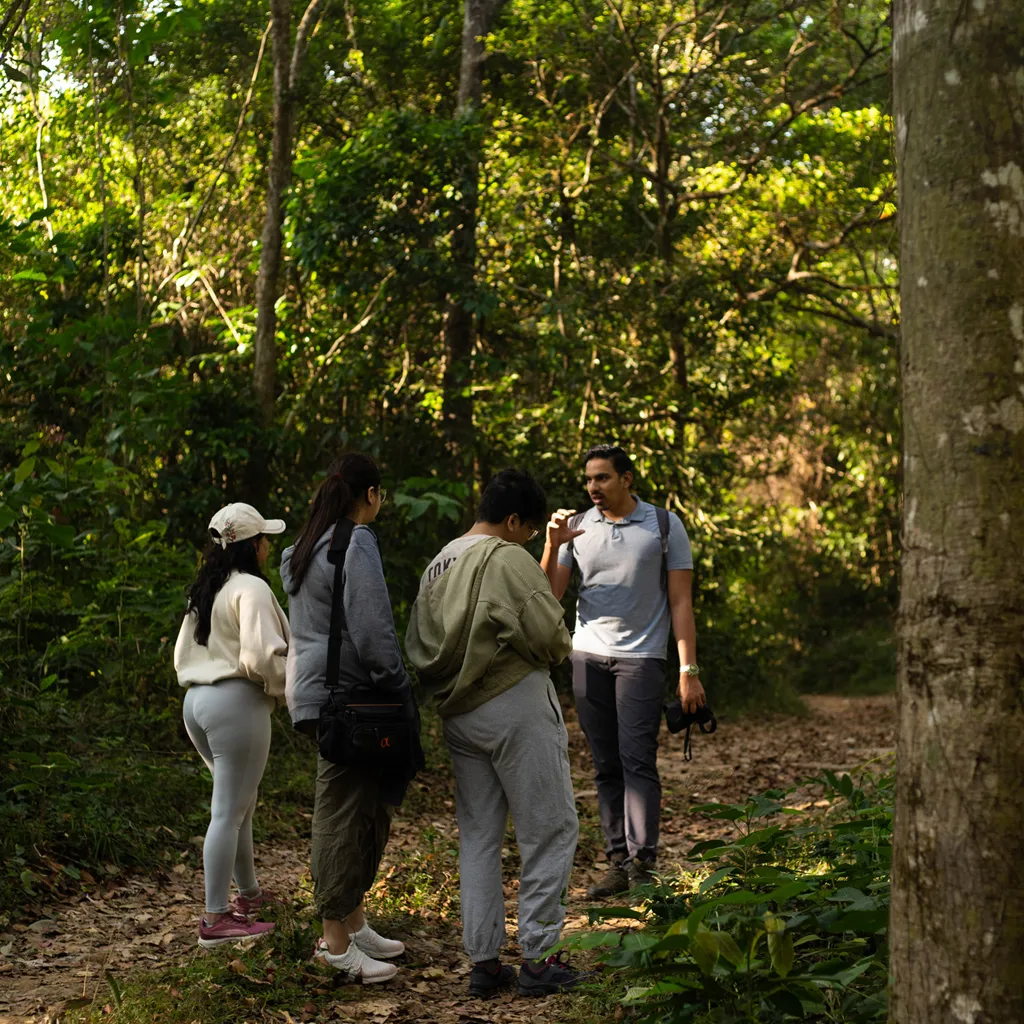 Easy forest trail in Chikmagalur ideal for beginner trekking and family walks