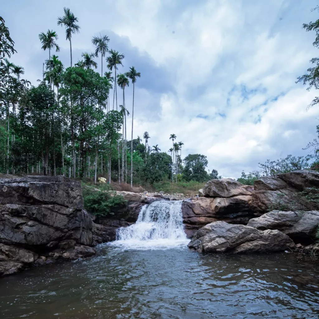Monsoon river walk in Chikmagalur with lush greenery and misty trails