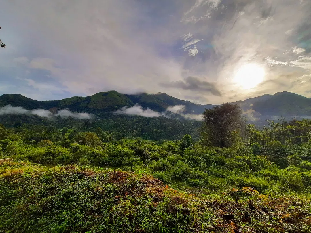 Nature walking trail through coffee plantations and forests in Chikmagalur Western Ghats