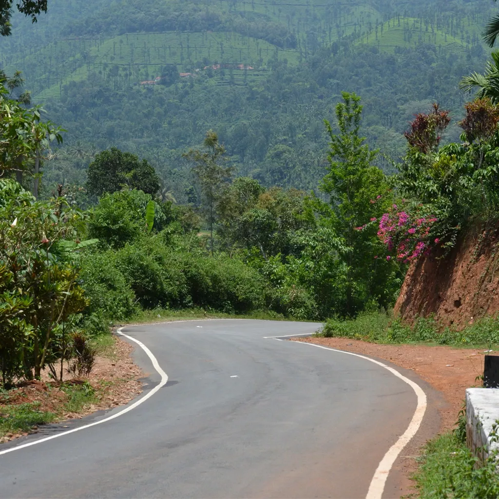 Scenic road leading to Chikmagalur nature trails in the Western Ghats