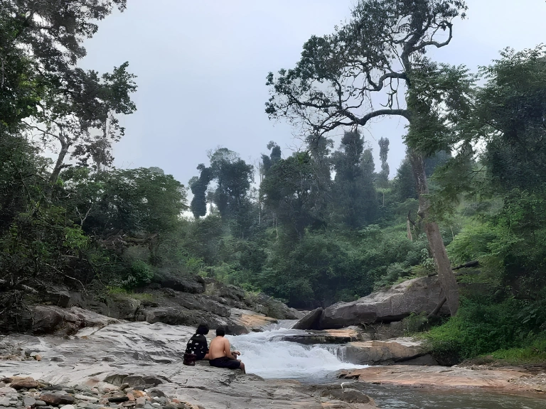 Scenic river walk in the Western Ghats near Chikmagalur, surrounded by coffee plantations and misty hills