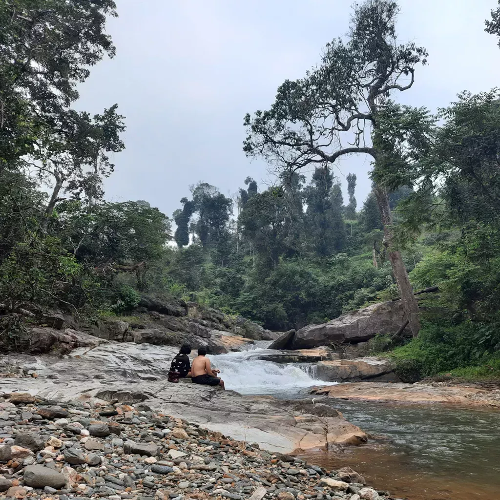 Serene river trail in Chikmagalur’s Western Ghats ideal for peaceful nature walks