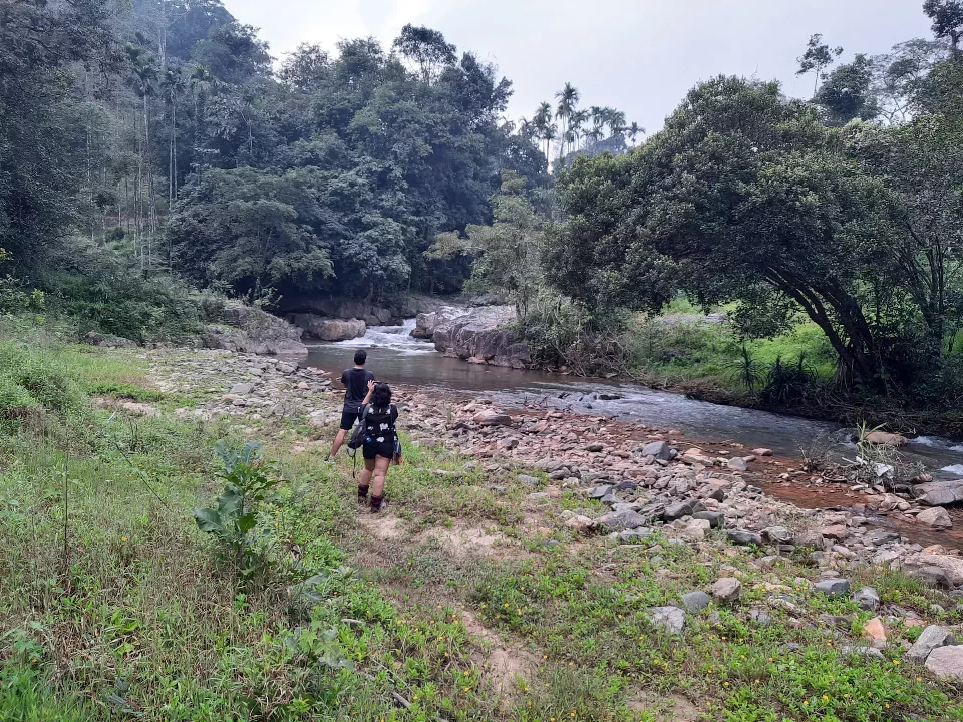 Guests walking by a forest stream near RiverMist Resorts