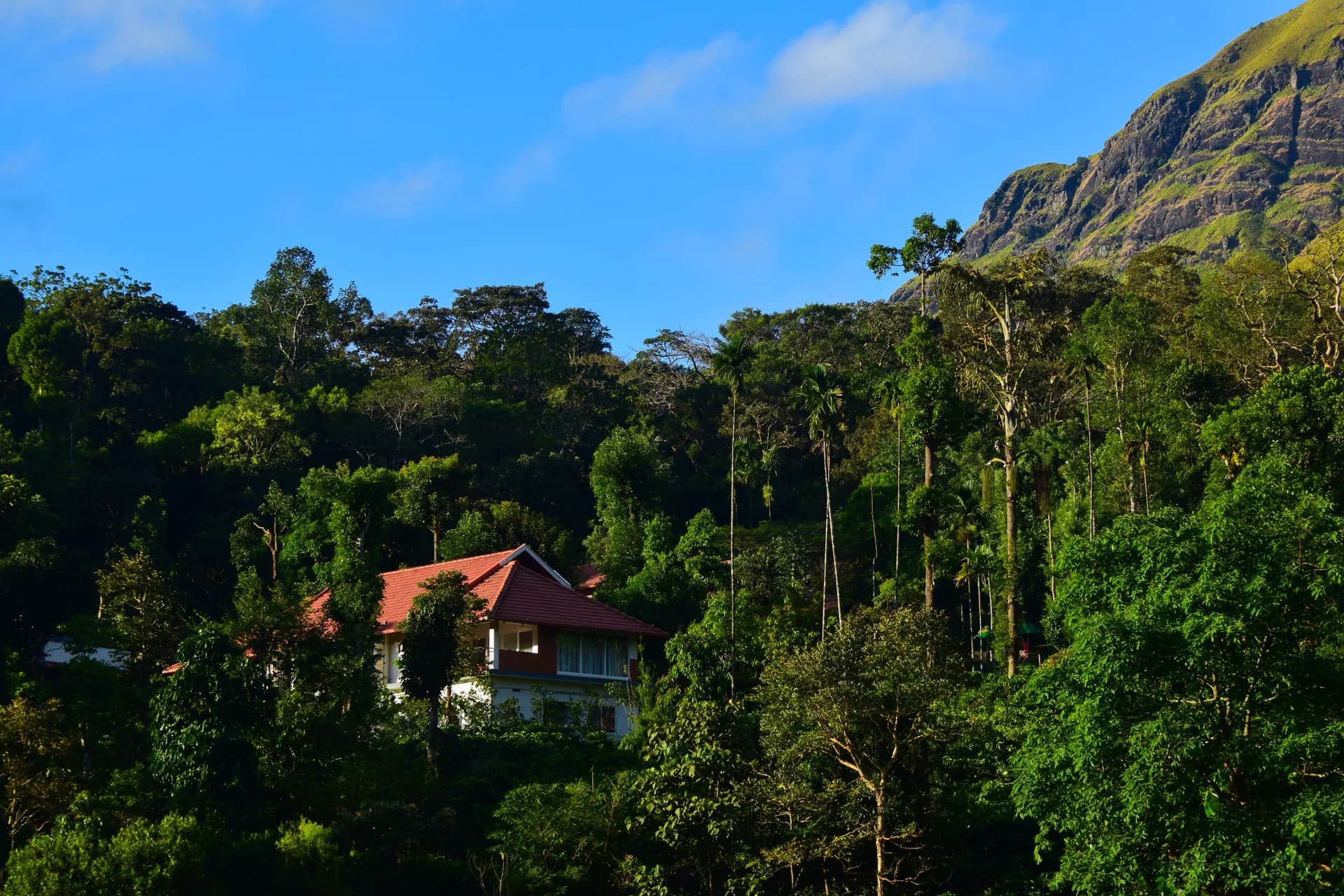 RiverMist Resorts cottages surrounded by forest and mountains