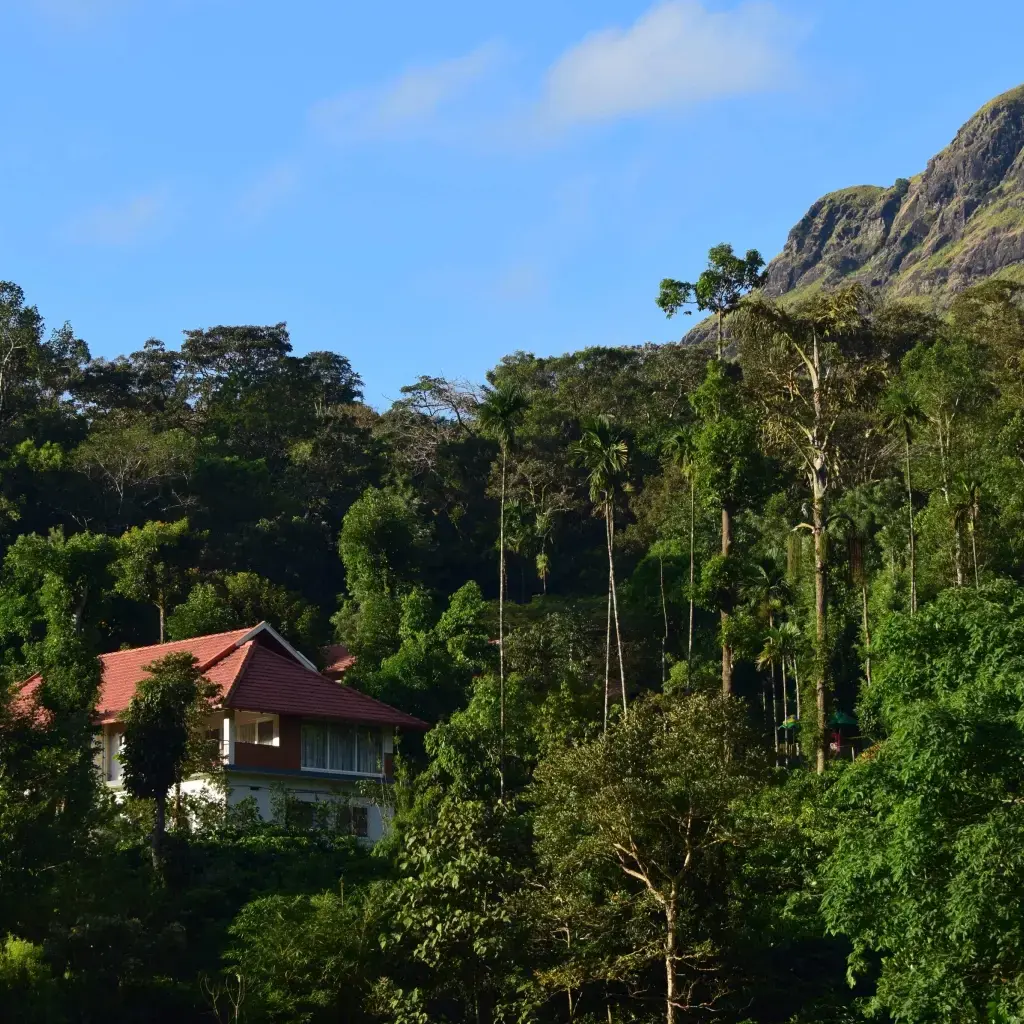 RiverMist cottage surrounded by lush greenery and Western Ghats mountains in Chikmagalur
