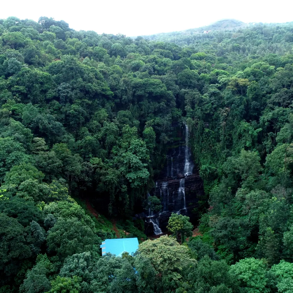 Aerial view of RiverMist’s private waterfall surrounded by dense forest in Chikmagalur