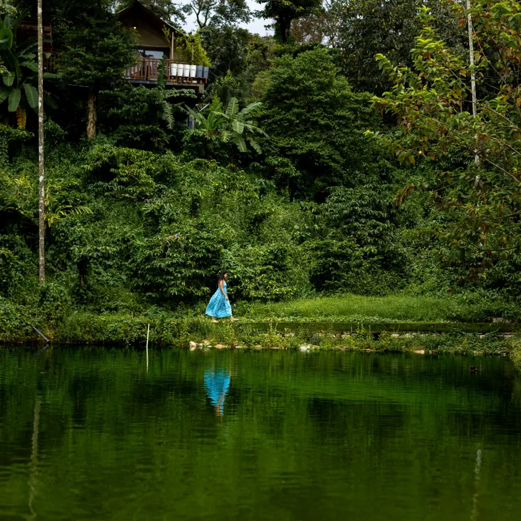 Guest walking beside a forest pond near a RiverMist cottage in Chikmagalur