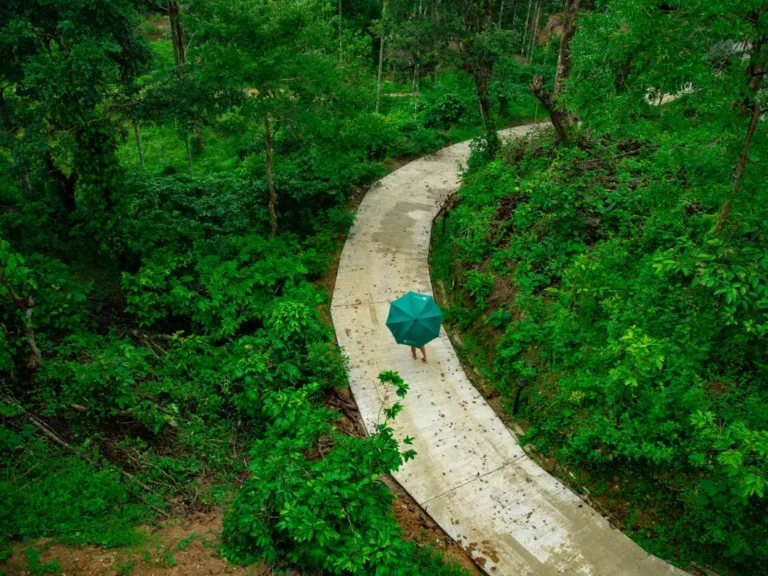 Guest walking with an umbrella along a lush forest path at RiverMist during monsoon