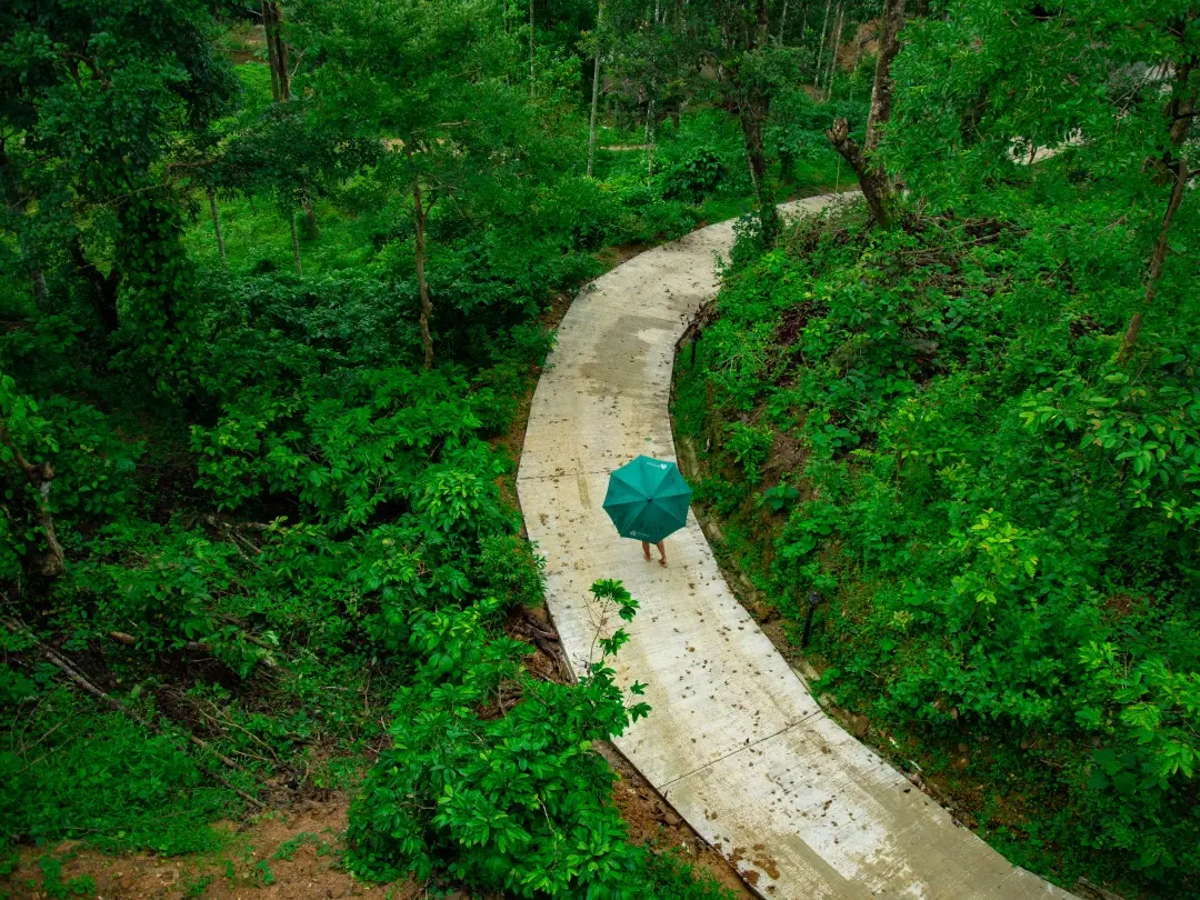 Guest walking with an umbrella along a lush forest path at RiverMist during monsoon