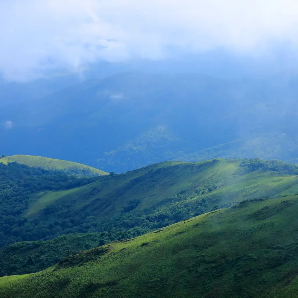 Mist-covered green hills of the Western Ghats during monsoon in Chikmagalur