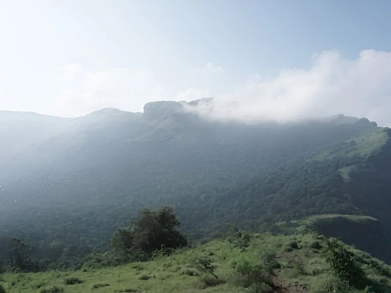 Misty Western Ghats trekking trail near Chikmagalur