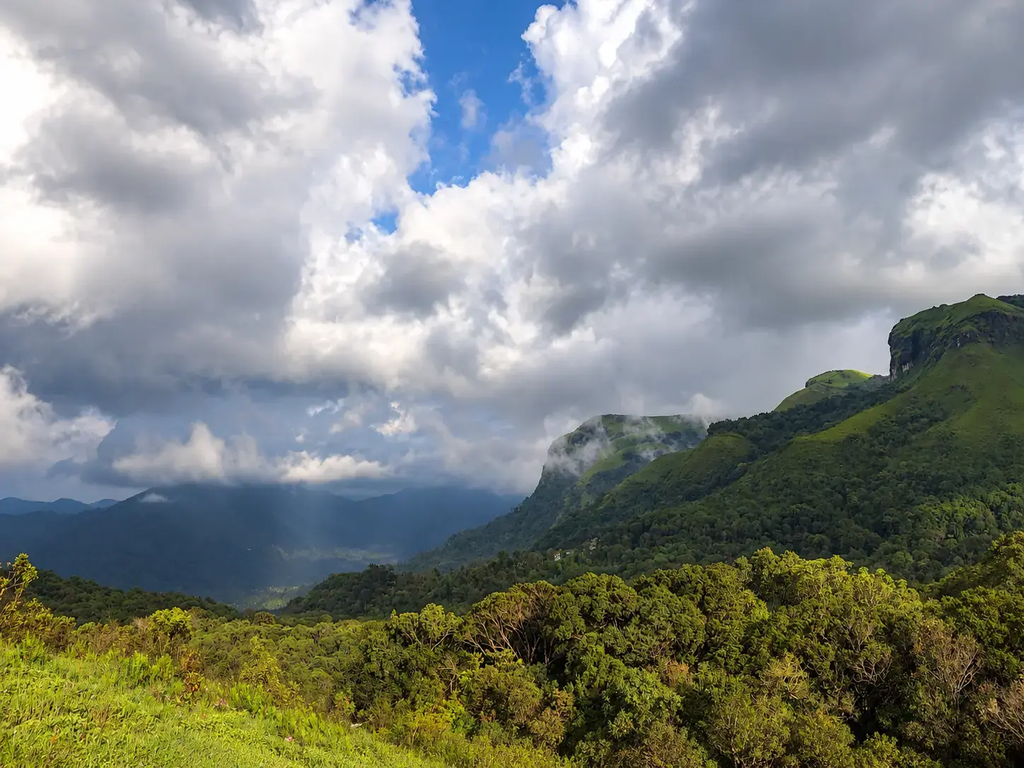 Mist drifting across lush green mountain Nature Resort in Chikmagalur RiverMist Resort